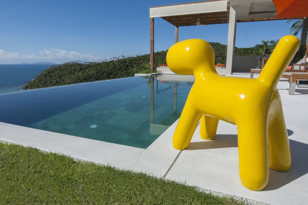 villa yellow dog 1