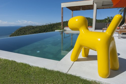 villa yellow dog teaser
